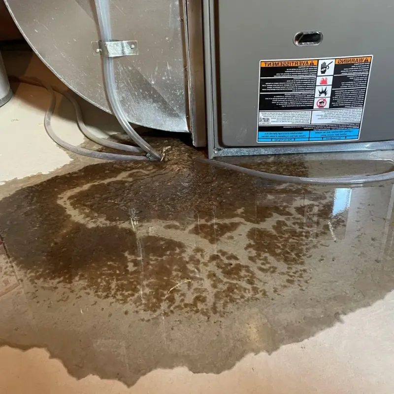 Pipe Burst and Leak Restoration in Lajas Municipio, PR