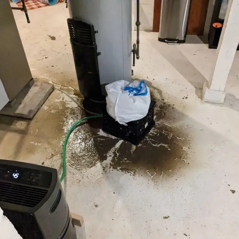 Sewage Backup Cleanup Service in Lajas Municipio, PR
